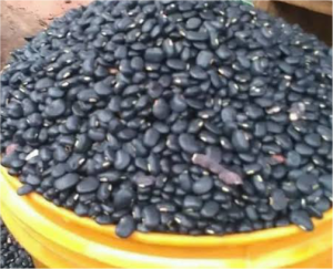 Black Beans (Akidi)