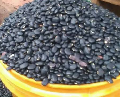 Black Beans (Akidi)