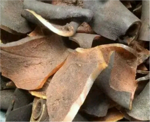 Cleaned Dry Ijebu Pomo