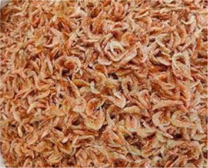 Dried Prawn (Grounded Prawn) Grounded and Ungrounded
