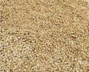 Premium Dried Ukwa (Bread fruit)