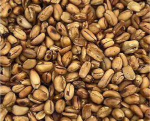 Premium Fried Ukwa (African Bread Fruit)