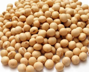 Okpa Seed.Flour (bambara Nut)