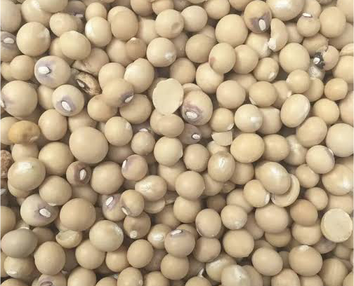 Okpa Seed.Flour (bambara Nut)